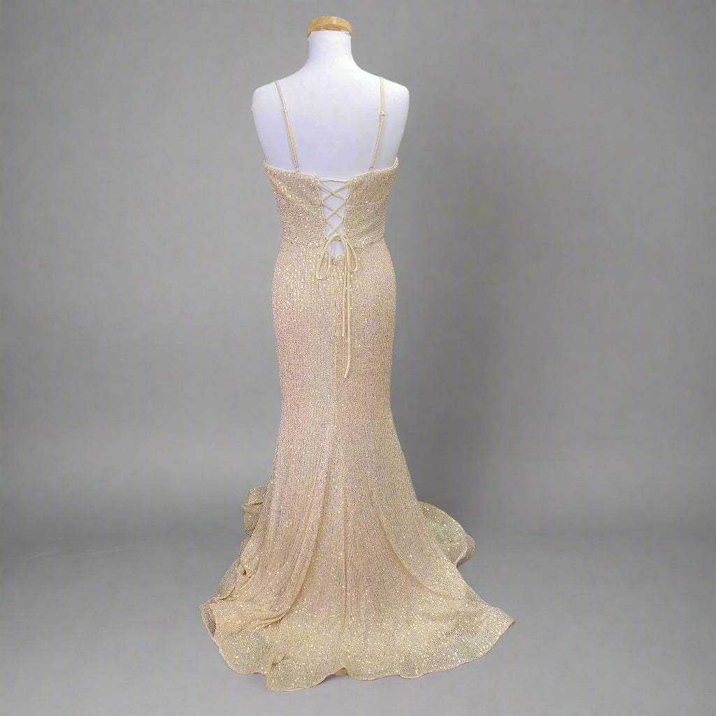 The Secret Dress champagne sequin dress, sizes 4 & 10, BRAND NEW WITH TAGS!