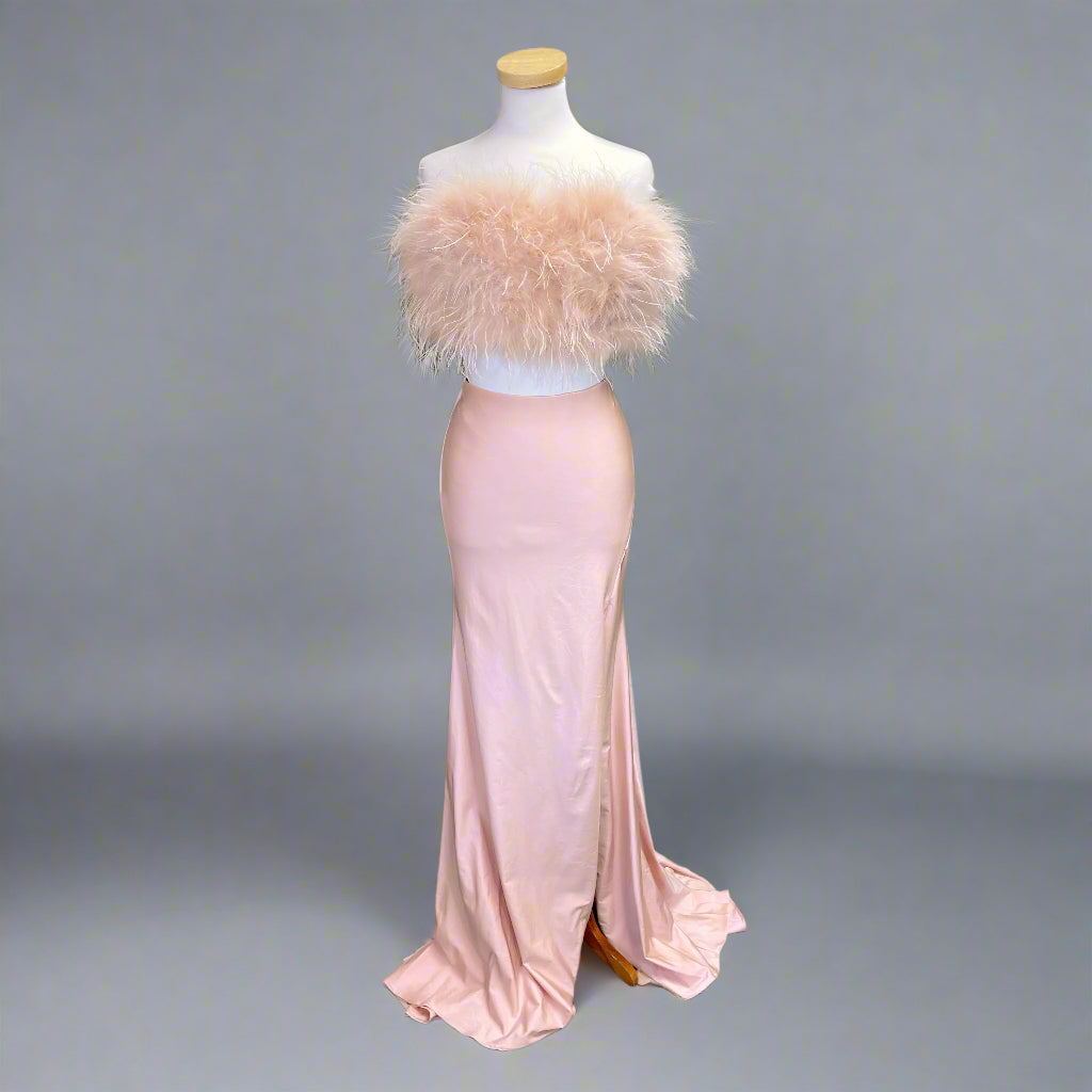 Alyce Paris cameo pink dress with feathers, sizes 2 & 6, NEW WITH TAGS!