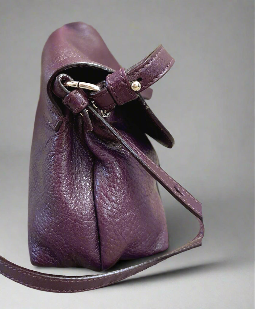 Chloe eggplant leather Lily crossbody bag