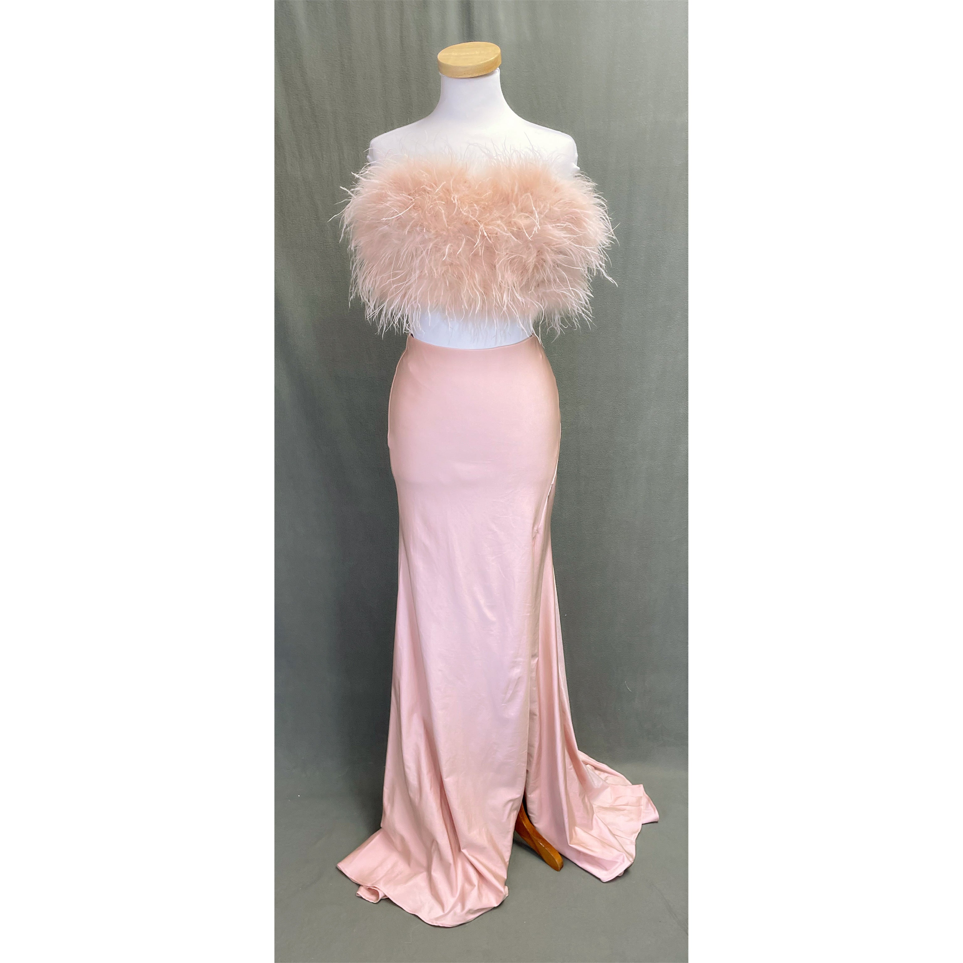 Alyce Paris cameo pink dress with feathers, sizes 2 & 6, NEW WITH TAGS!