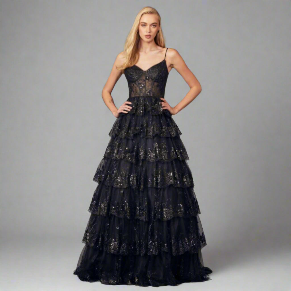 Ed Young black ballgown, size 2X