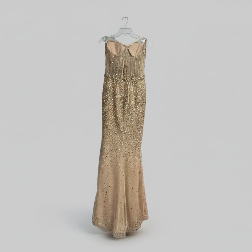 Ella Grace champagne sequin corset dress, Size 2